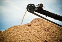The standard permits consultation includes stipulations for the storage of waste wood