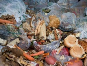 Organic waste represents around two thirds of the potential of an industry which could ultimately deliver over 10% of our domestic gas demand