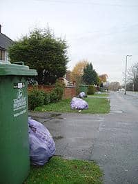 Residents in Broxbourne are given one purple bag a week for their residual waste - but some believe the council shouldn't charge for extra sacks