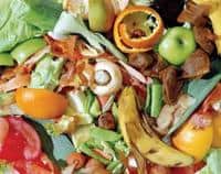 Four million tonnes of food a year is wasted in the UK