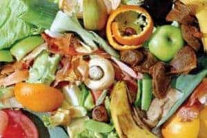 The conference discussed the environmental advantages of preventing food waste