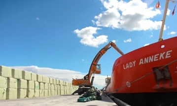 N+P exports much of its material from a site in Grimsby