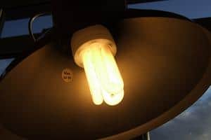 Traditional bulbs are set to be phased out across Europe by 2012 and replaced by low-energy lightbulbs