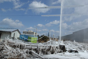 The earthquake and subsequent tsunami have destroyed thousands of properties in Japan