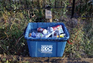 The combined services contract being let by Daventry and Northampton councils is expected to impact on kerbside collections in the two local authority areas