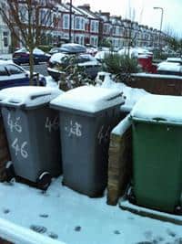 A further deluge of snow has led to councils have to suspend or limit their waste and recycling collection services