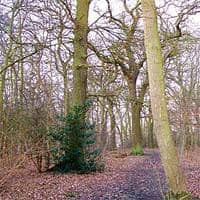 Biffaward wants to support more biodiversity projects like Flitwick Wood in Bedfordshire