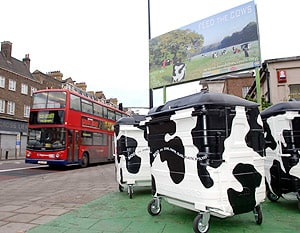 /photos/cowbins.jpg