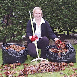 /photos/leafmould.jpg