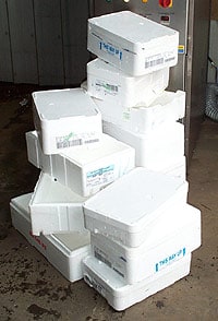 /photos/polystyrene.jpg