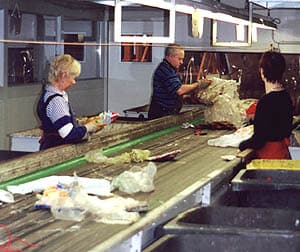 /photos/sorting.jpg