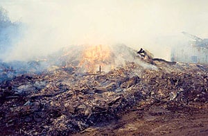 /photos/wasteburning.jpg