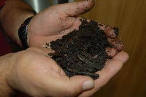 A slowdown in compostable waste has been reported but the sector is still experiencing growth