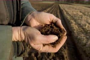 The odour problem from digestate was one of the issues touched on at the conference