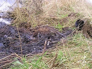 /photos/adaspollution1.jpg
