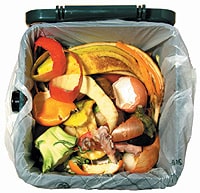 /photos/foodbin.jpg
