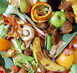 /photos/foodwaste.jpg