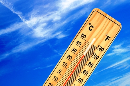 Heatwave bin collections