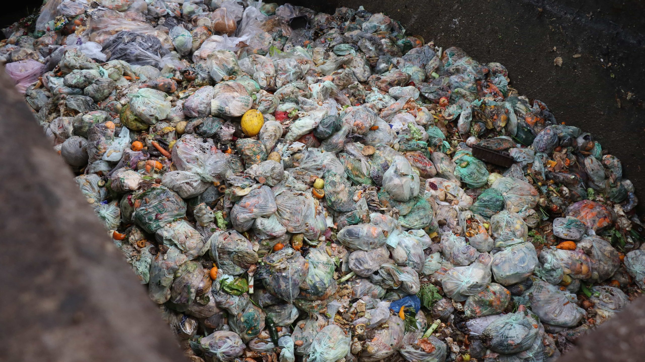 Most households present food waste in compostable bags