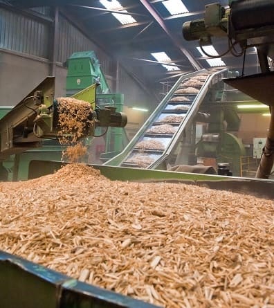 Waste wood biomass