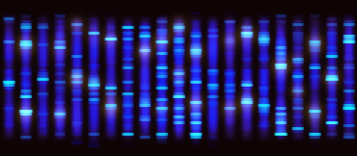 DNA