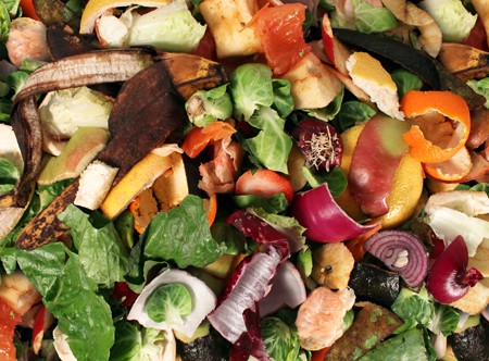 North London Waste Authority supports restricting certain food waste streams to landfill
