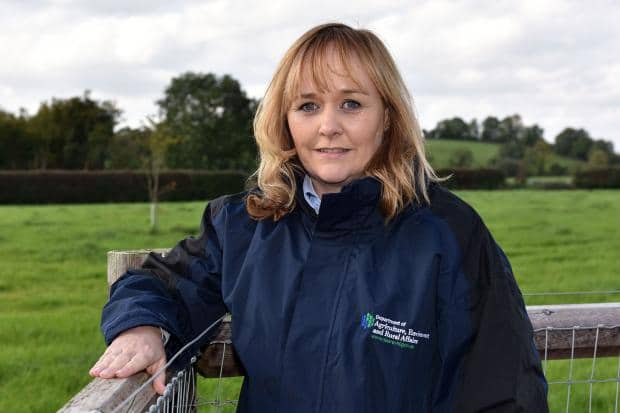 michelle-mcilveen-landscape