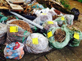Green waste bags left to fester on a Birmingham street earlier this year