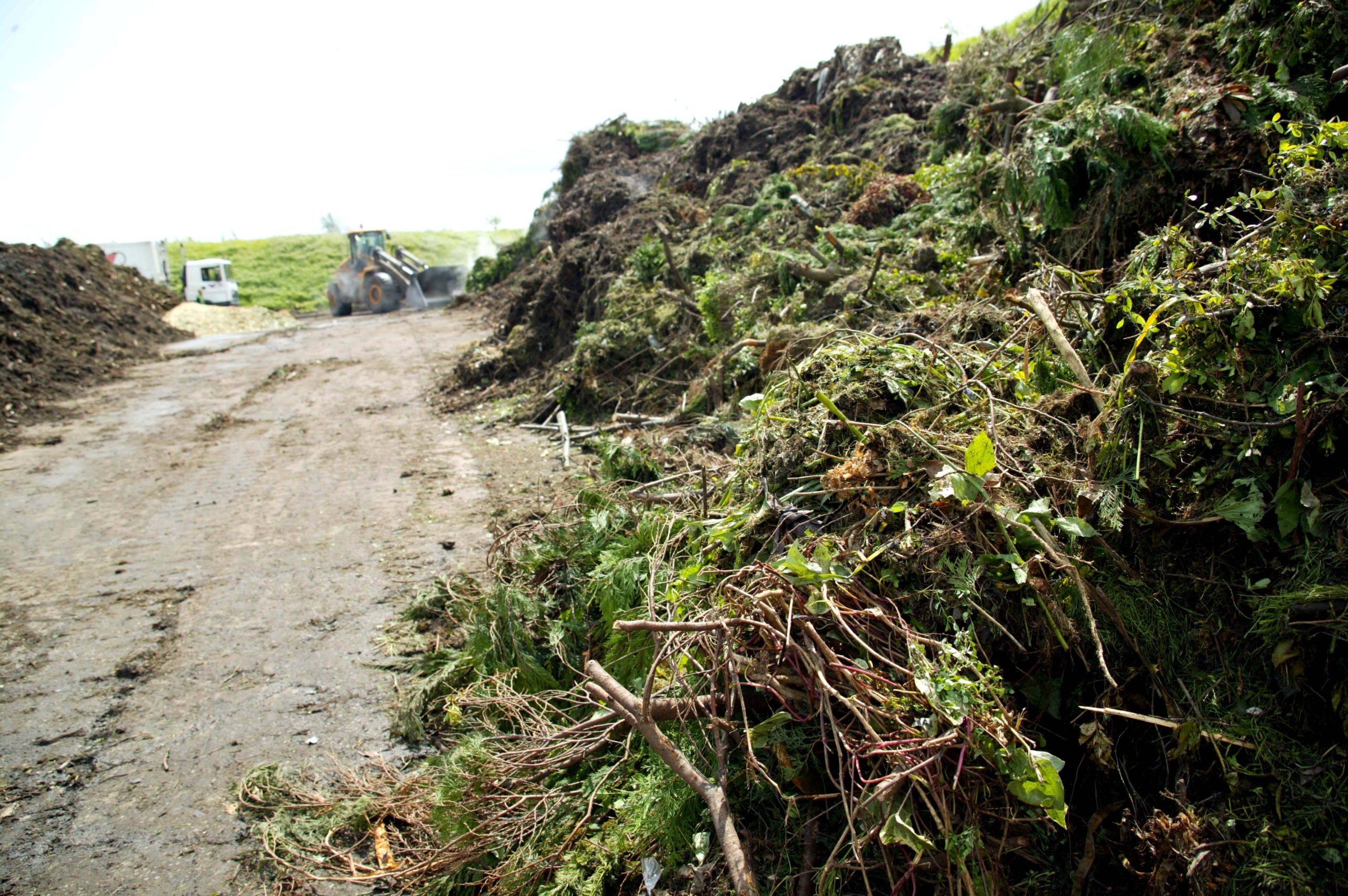 Halton hails ‘positive’ reaction to green waste charge