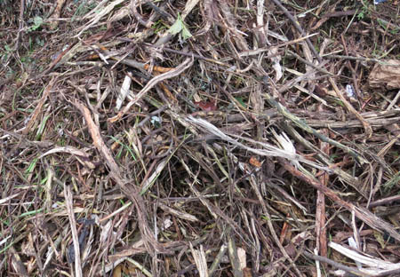 oversize composting material (2)