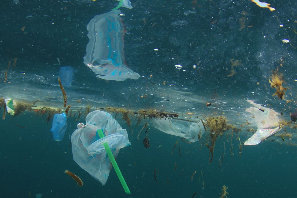Thoughts on a plastic tax