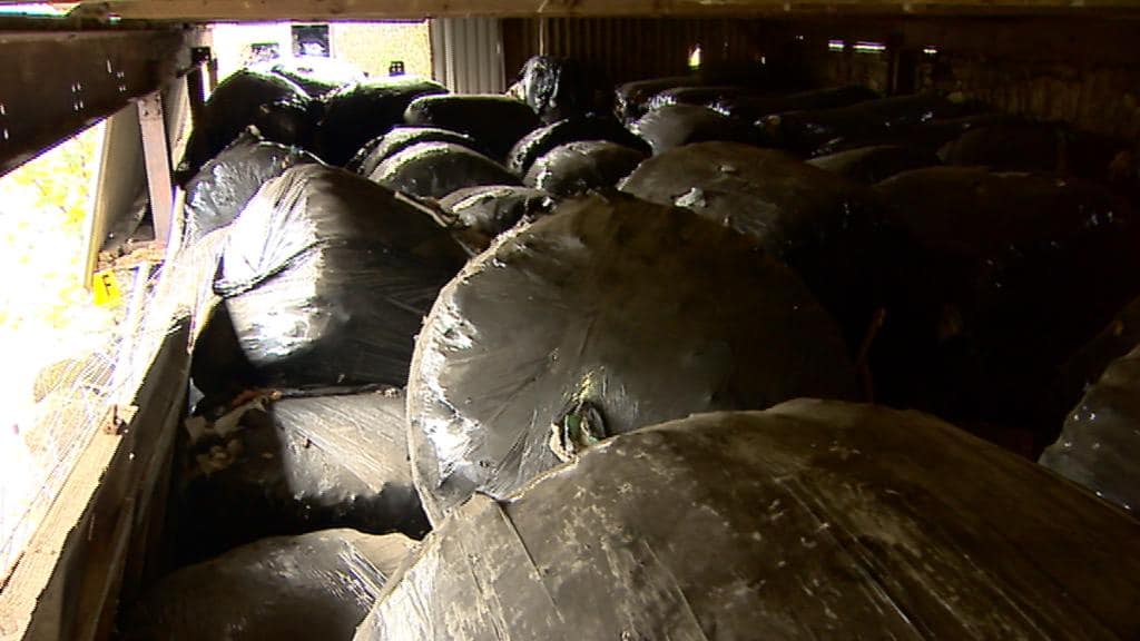 The illegally dumped waste was disguised as silage bales (picture credit: BBC Scotland)