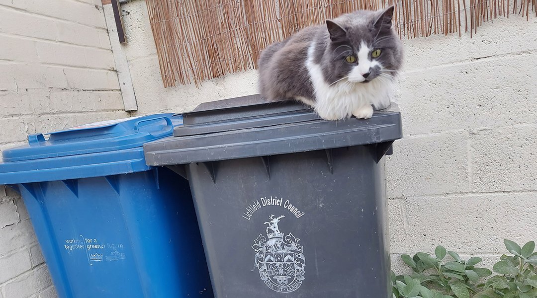 Rising sack prices sees council rethink budget