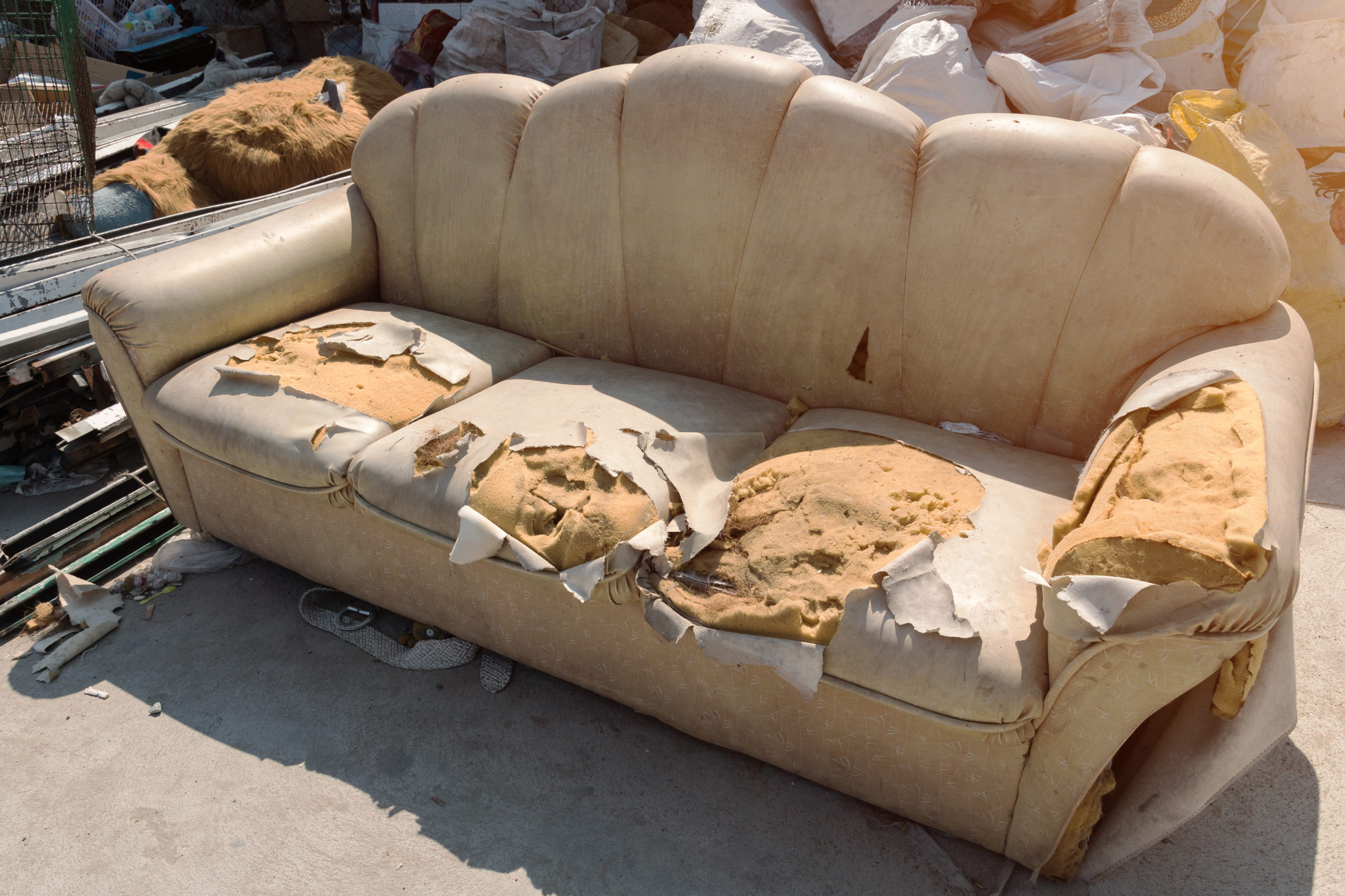 Some Sofas Set For Landfill Ban Over