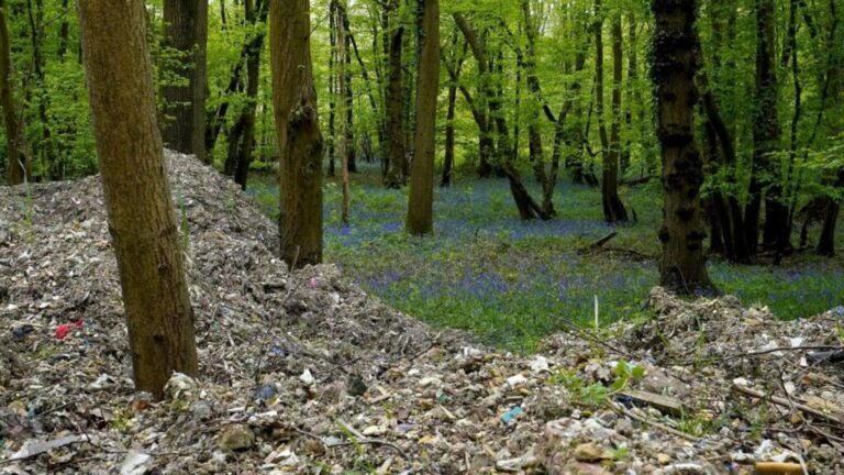 Environment Agency completes Hoad’s Wood waste clean-up