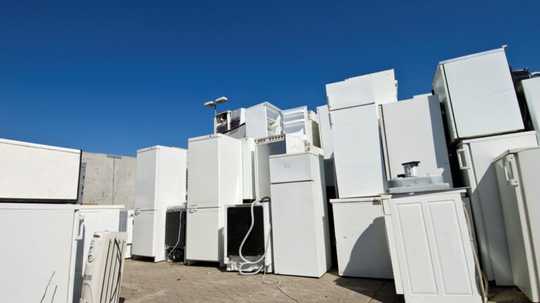 Enva expands fridge storage amid capacity pressures